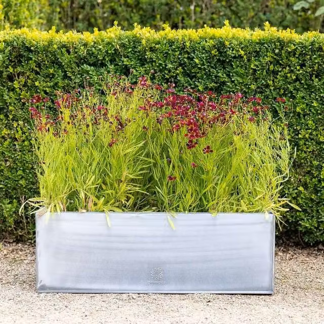 Primrose Silver Galvanised Steel Rectangular Outdoor Planter Tub