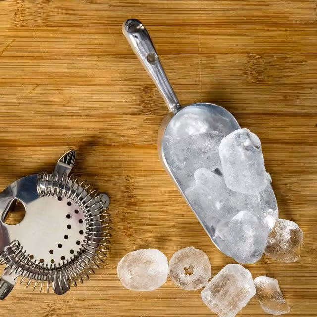Rink Drink Silver Metal Ice Cream Scoops, Pack of 5