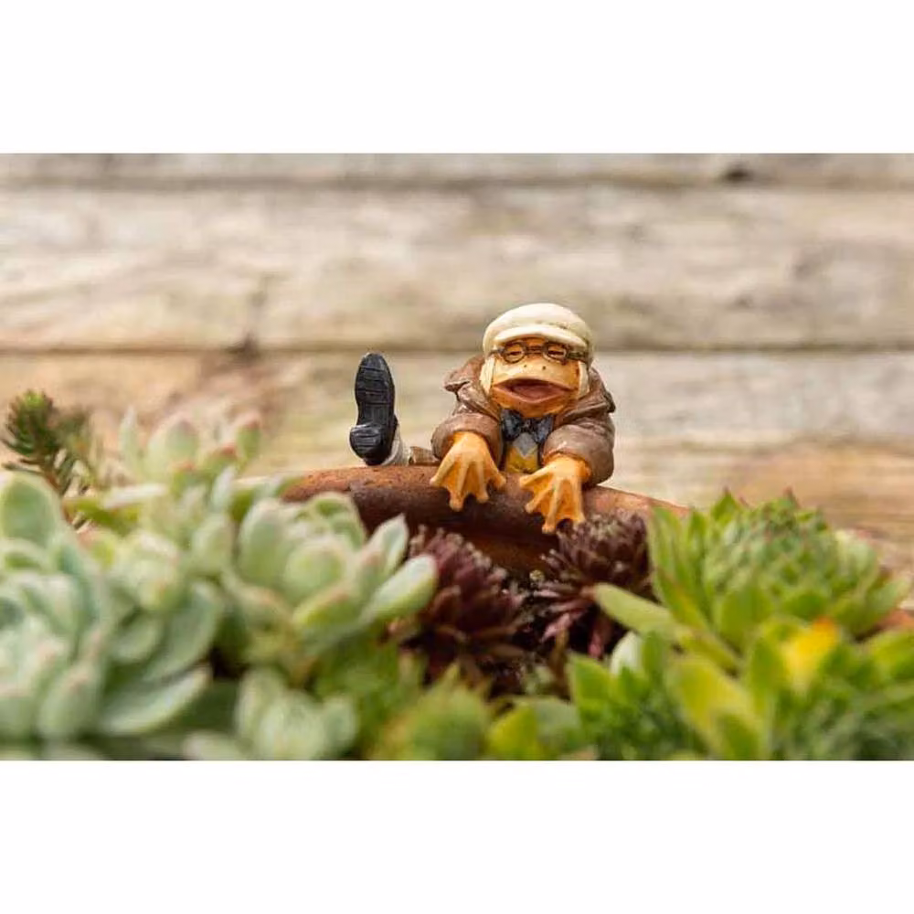 Jardinopia Mr Toad Driving Pot Buddy in Orange and Multicolour, W: 7.9 cm, D: 10.9 cm, H: 5.7 cm – 2