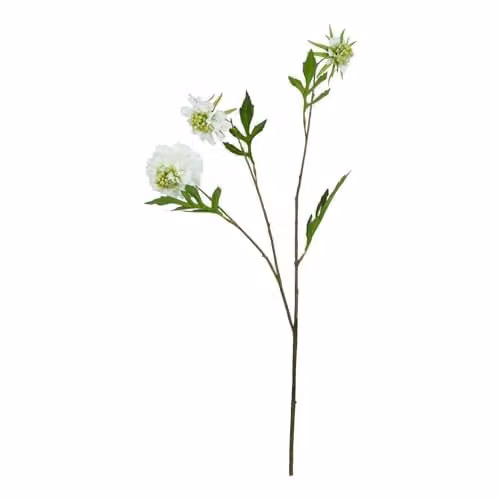 Hill Interiors White Scabious Stem Artificial Plant