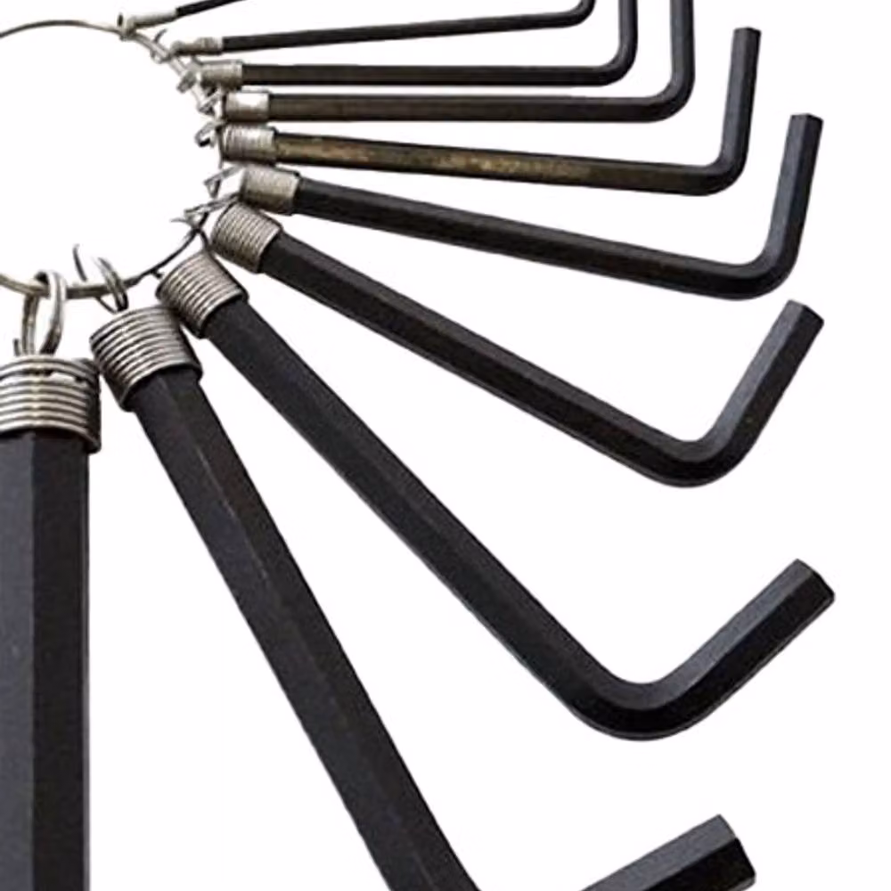 Amtech 20-Piece Hex Key Set with Keyring in Black and Multicolour – 2