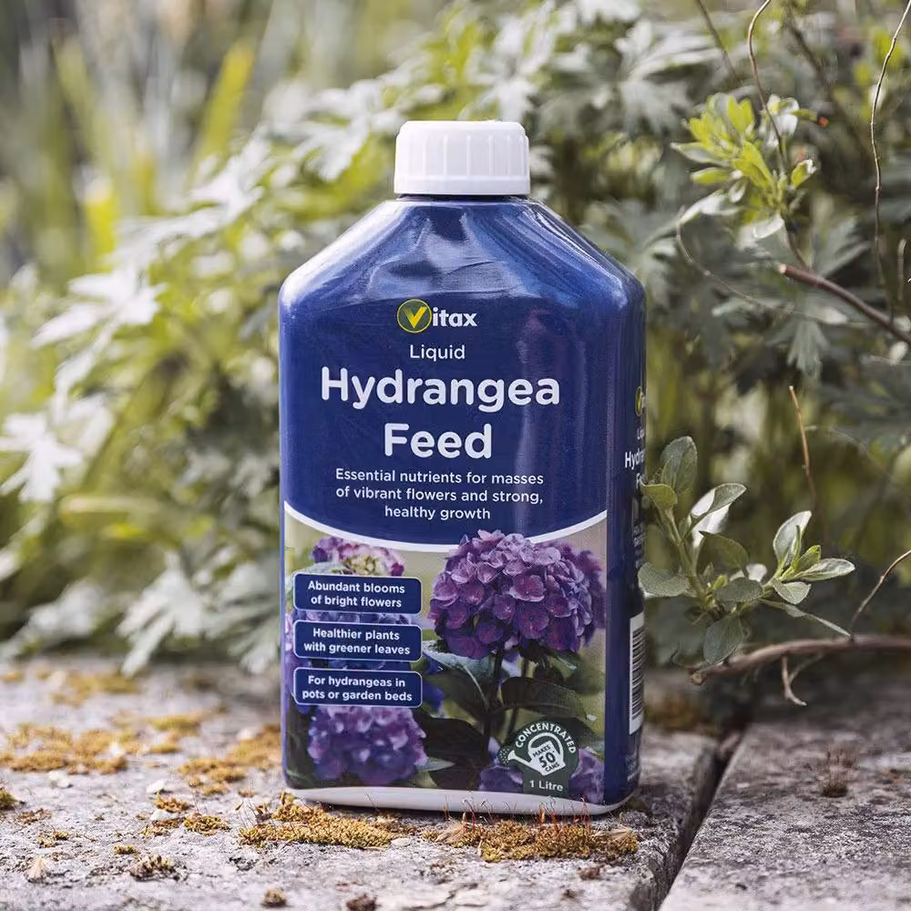 Vitax Hydrangea Concentrated Liquid Plant Tonic, 1 l – 2
