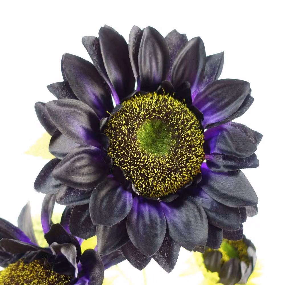 Leaf Premium Purple Artificial Sunflower Arrangement in a Glass Vase, Height: 100 cm – 1