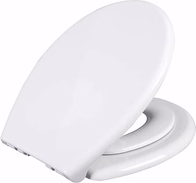 NESTLUNE Family Toilet Seat with Soft Close and Removable Potty Training Feature, White, W: 52 cm