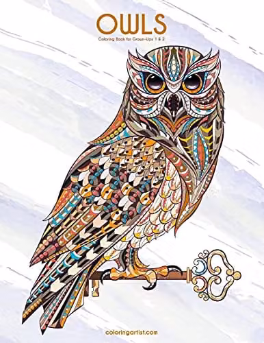 Owls Coloring Book for Grown-Ups 1 & 2 by Createspace, Multicolour