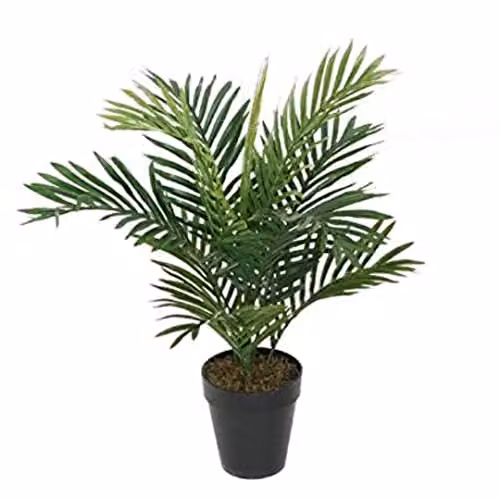 Best Artificial Green Areca Palm Tree for Indoor and Outdoor Use, Height: 60 cm