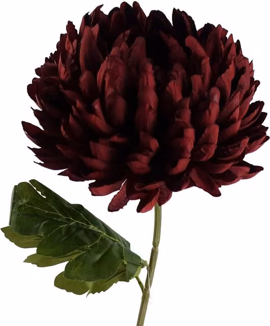 Leaf Red Artificial Chrysanthemum Stem Flowers, Height: 75 cm