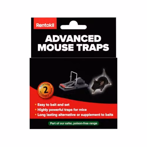 Rentokil RKLFM63 Advanced Mouse Trap, Pack of 2, Blue and Black – 6