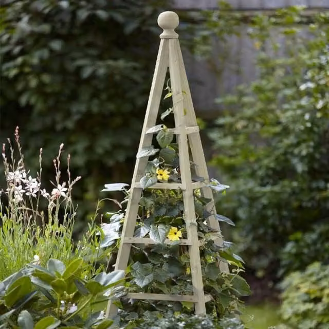 Garden Mile Plain Wooden Sage Green Obelisk Plant Support
