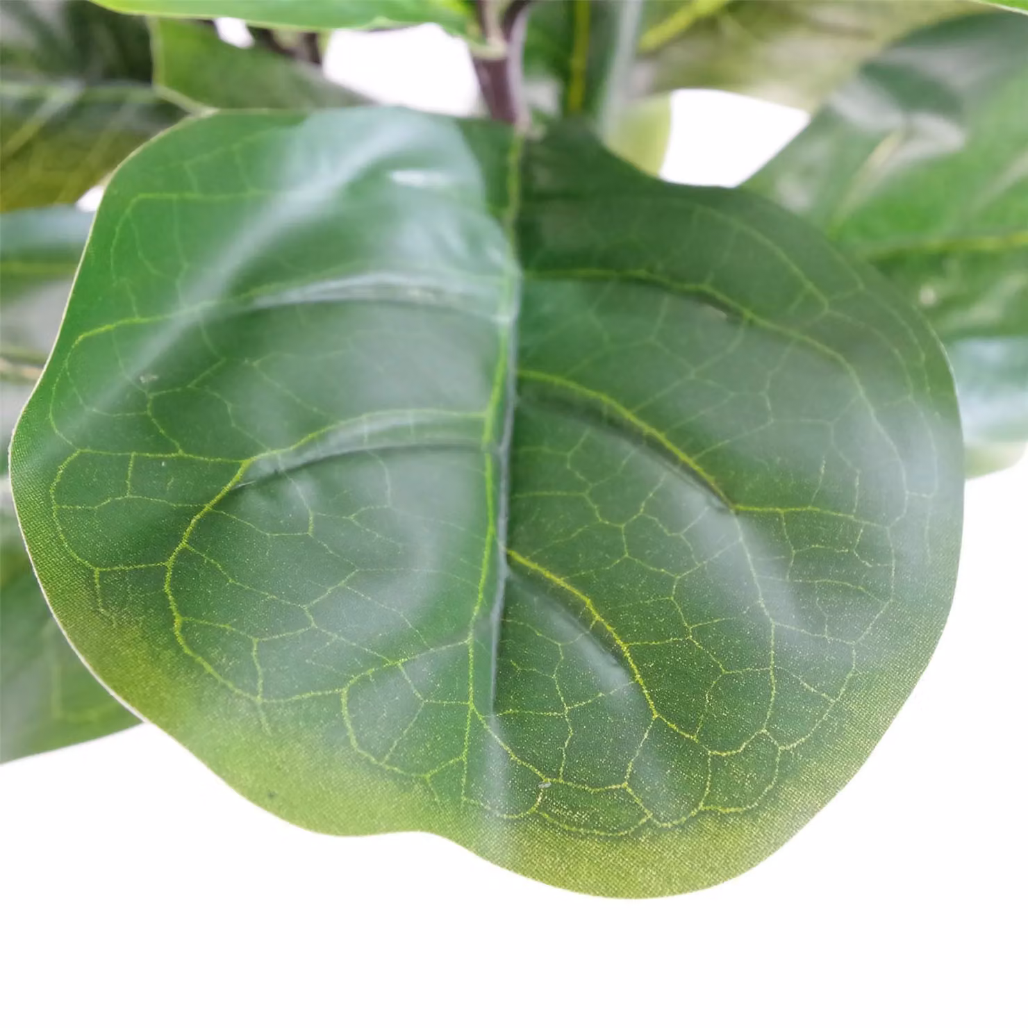 Leaf Design UK Realistic Artificial Fiddle Fig Tree, Green, Height: 120 cm – 2