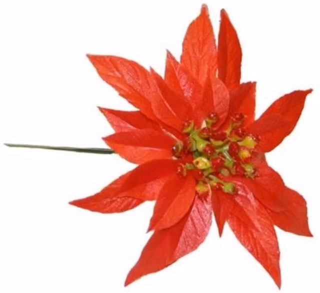 KDMD Red Poinsettia Plastic Floral Wreath for Christmas and Weddings, Diameter: 16.51 cm