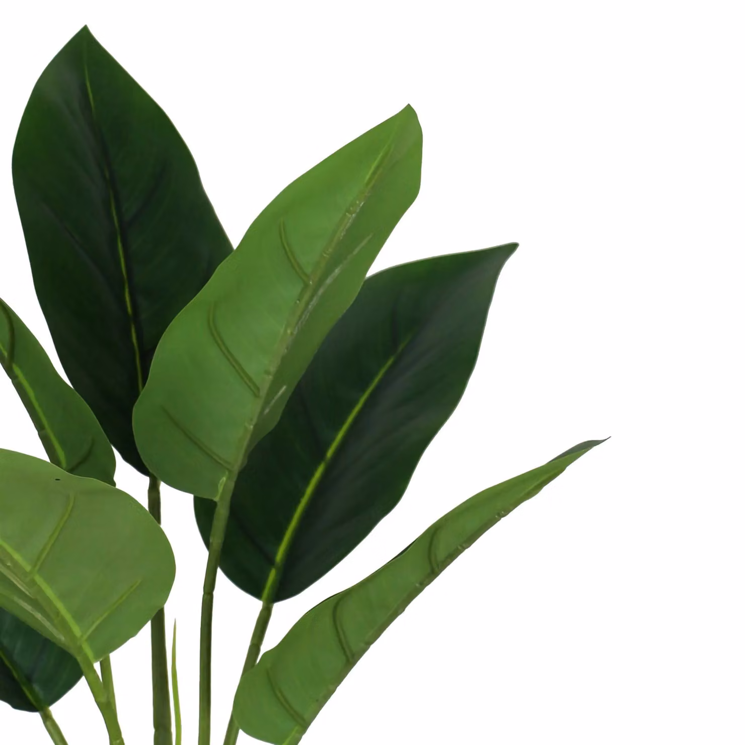 Leaf UK Green Aureum Artificial Plant, Height: 45 cm – 2