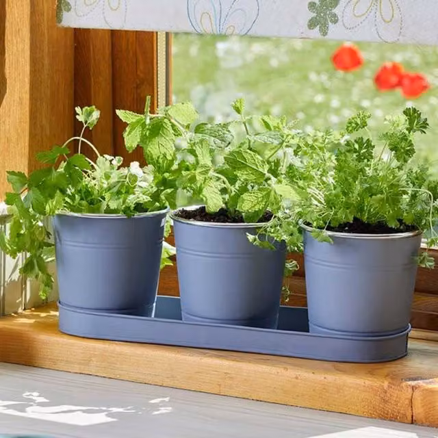 Marco Paul Modern Round Stone Window Herb Pots in Grey and Blue