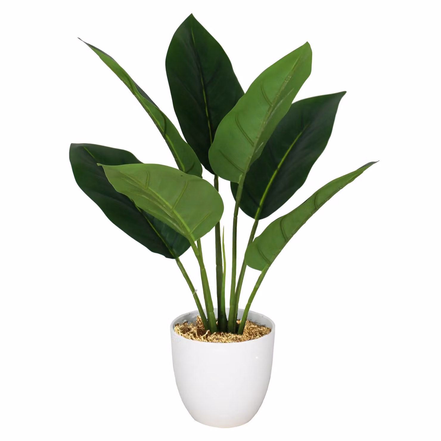 Leaf UK Green Aureum Artificial Plant, Height: 45 cm – 3