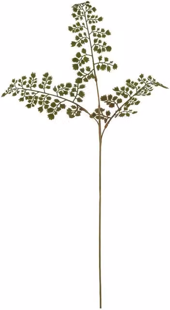 Hill Interiors The Natural Garden Collection Maidenhair Fern Artificial Flower in Green