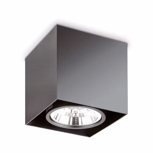 Netlighting Mood Black Surface Mounted Indoor Ceiling Lamp with GU10 Bulb – 1