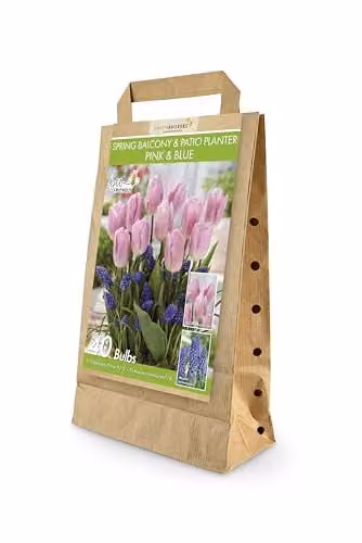 GreenBrokers Spring Balcony and Patio Planter with 40 Pink and Blue Bee Friendly Flower Bulbs including Tulipa Candy Prince and Muscari Armeniacum – 1