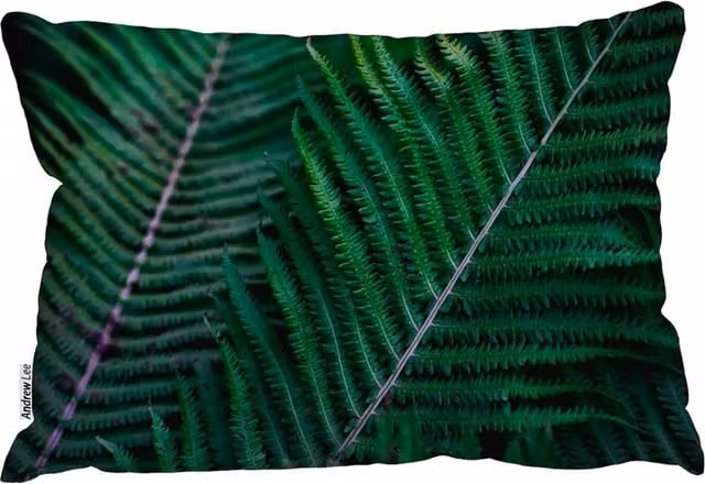 Benjamin Tate Design LTD Green Leaves Abstract Flora Texture Outdoor Rectangular Cushion in Green