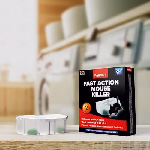 Rentokil Fast Action Mouse Killer Twin Pack - Ready-baited Indoor Rodent Bait Stations for Efficient Elimination of Mice, Pack of 2 – 3
