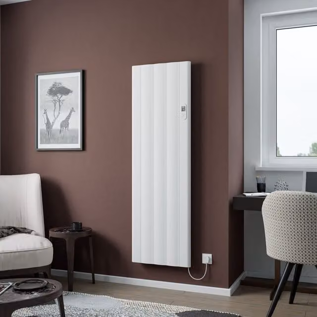Agadon Cologne Electric Aluminium Designer Radiator in White, W/H: 61 x 160 cm – 1