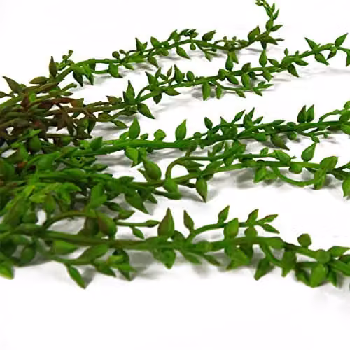 Leaf Design UK Green Artificial Hanging Plants Multipack – 2