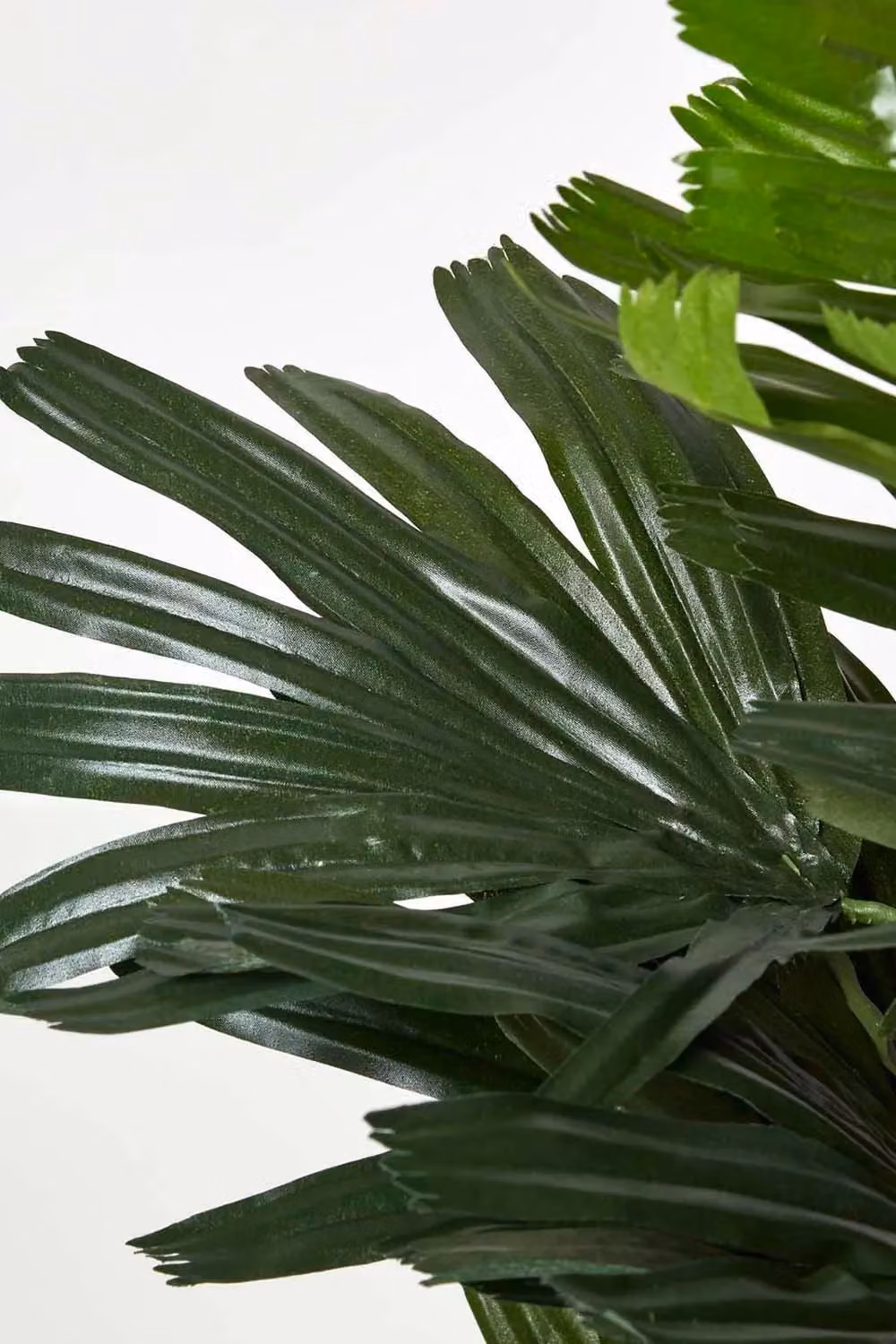 Homescapes Artificial Rhapis Excelsa Palm Tree in Green, Height: 120 cm – 4