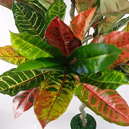 Leaf Artificial Multicoloured Codiaeum Potted House Plant, H 130 x W 60 x D 60 cm – 2