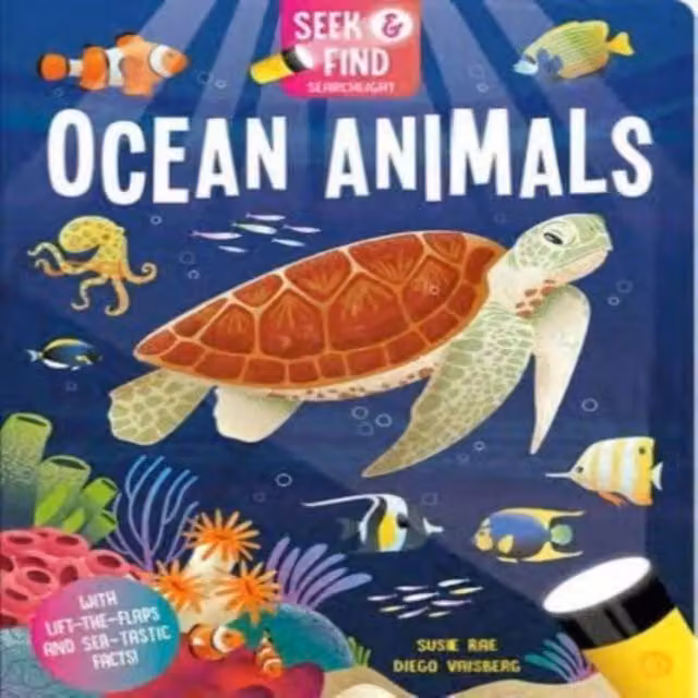 Susie Rae Seek & Find Ocean Animals Hardback Book, Multicolour