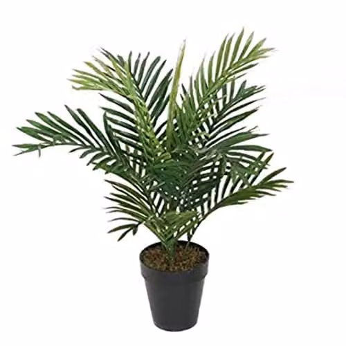 Best Artificial Green Areca Palm Tree for Indoor and Outdoor Use, Height: 60 cm