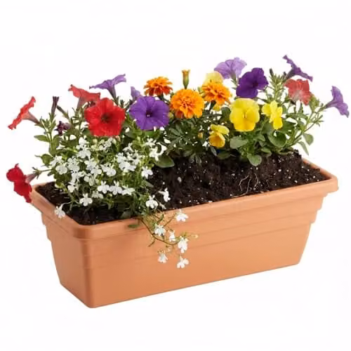 Storm Trading Group Ascot Brown Plastic Planter Trough