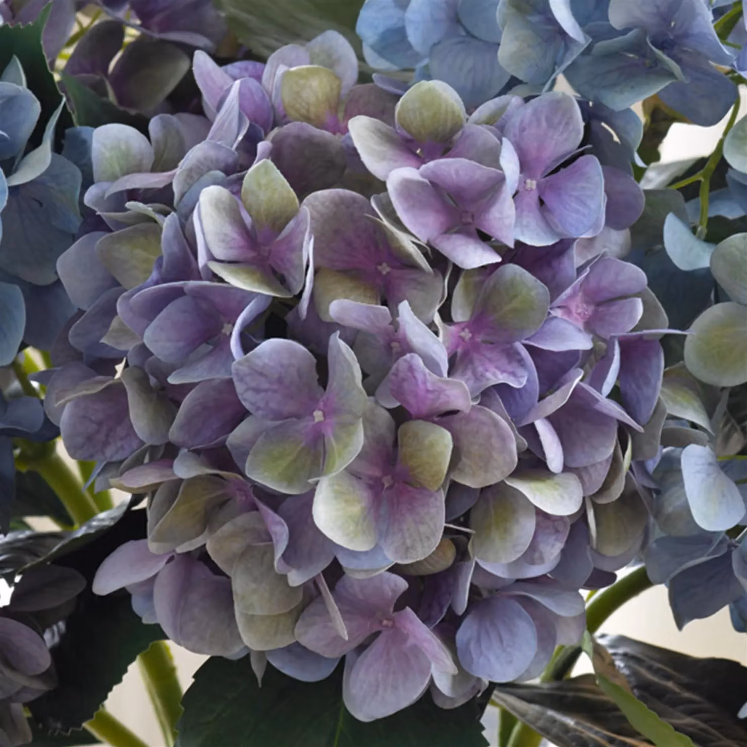 Bloom Artificial Charlotte Mauve Hydrangea Stem, Purple, Height: 65 cm – 3