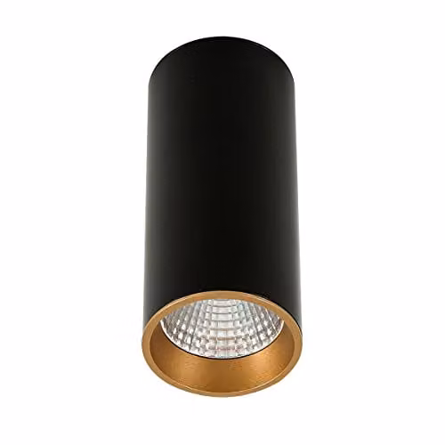 Netlighting Modern Technical LED Surface Mounted Cylinder Ceiling Light in Black and Gold with Warm White 3000K 820lm – 1