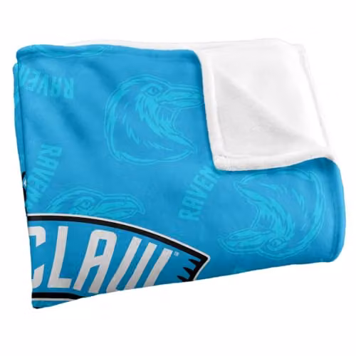 Warner Brothers Harry Potter Ravenclaw Varsity Badge Super Soft Fleece Throw Blanket, White and Multicolour, W/D/H: 152 x 127 cm – 2