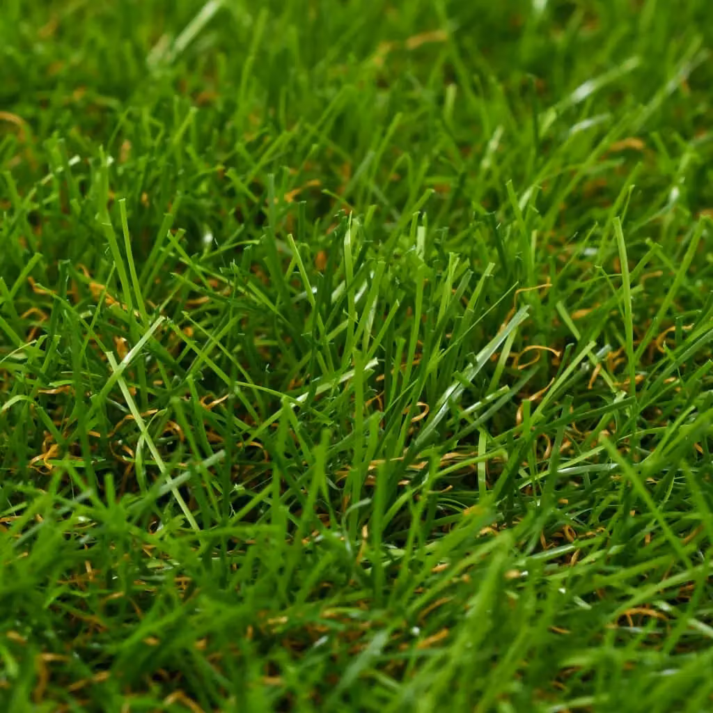 Berkfield Home Artificial Grass, Green, W: 1 m, L: 15 m, Pile Height: 40 mm – 2
