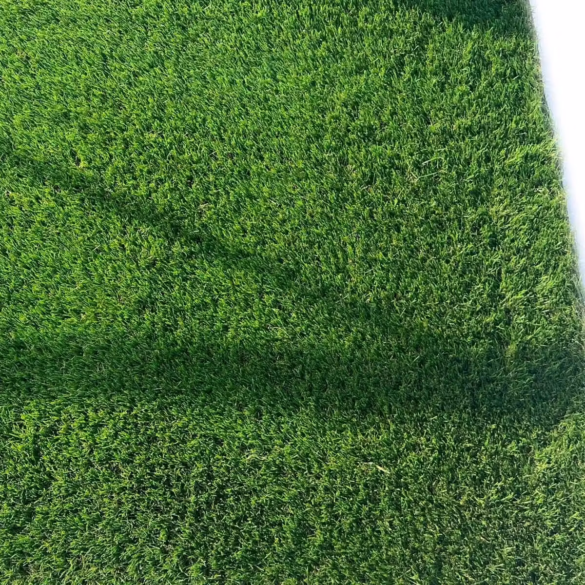 Artificial Grass GB 45mm Artificial Grass in Green, W: 400 cm x L: 400 cm – 4