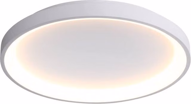 Netlighting Raden LED Semi Flush Ceiling Light, White, Diameter: 58 cm – 1