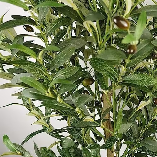 Leaf Design UK 160cm Artificial Green Olive Tree with 72 Olives in a Black Plastic Pot – 4