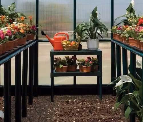 Palram Two Tier Green Greenhouse Staging, W/D/H: 79.7 x 39.8 x 85.1 cm – 2