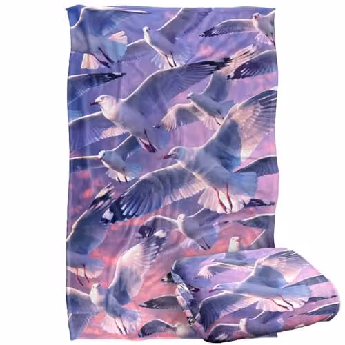 JQ Licensing Royce Mcclure Evening Seagulls Super Soft Silky Touch Fleece Throw Blanket, Blue, W: 91 cm, D: 147 cm