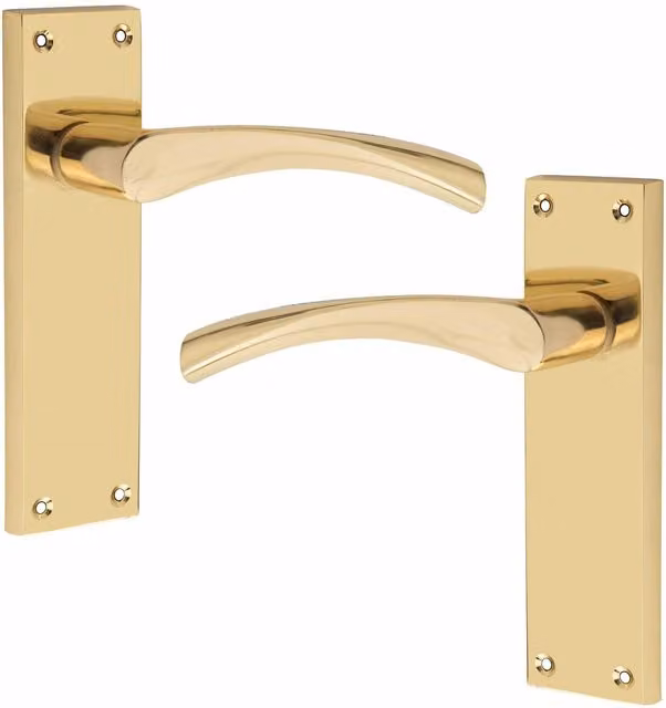 Golden Grace Polished Brass Door Handles in Gold