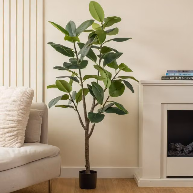 Scottish Everlastings Ltd 150cm Real Touch Green Rubber Tree