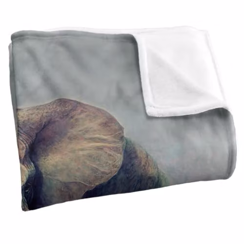 JQ Licensing Elephants Fighting Silky Touch Super Soft Fleece Throw Blanket, Multicolour, W: 91 cm, D: 147 cm – 2