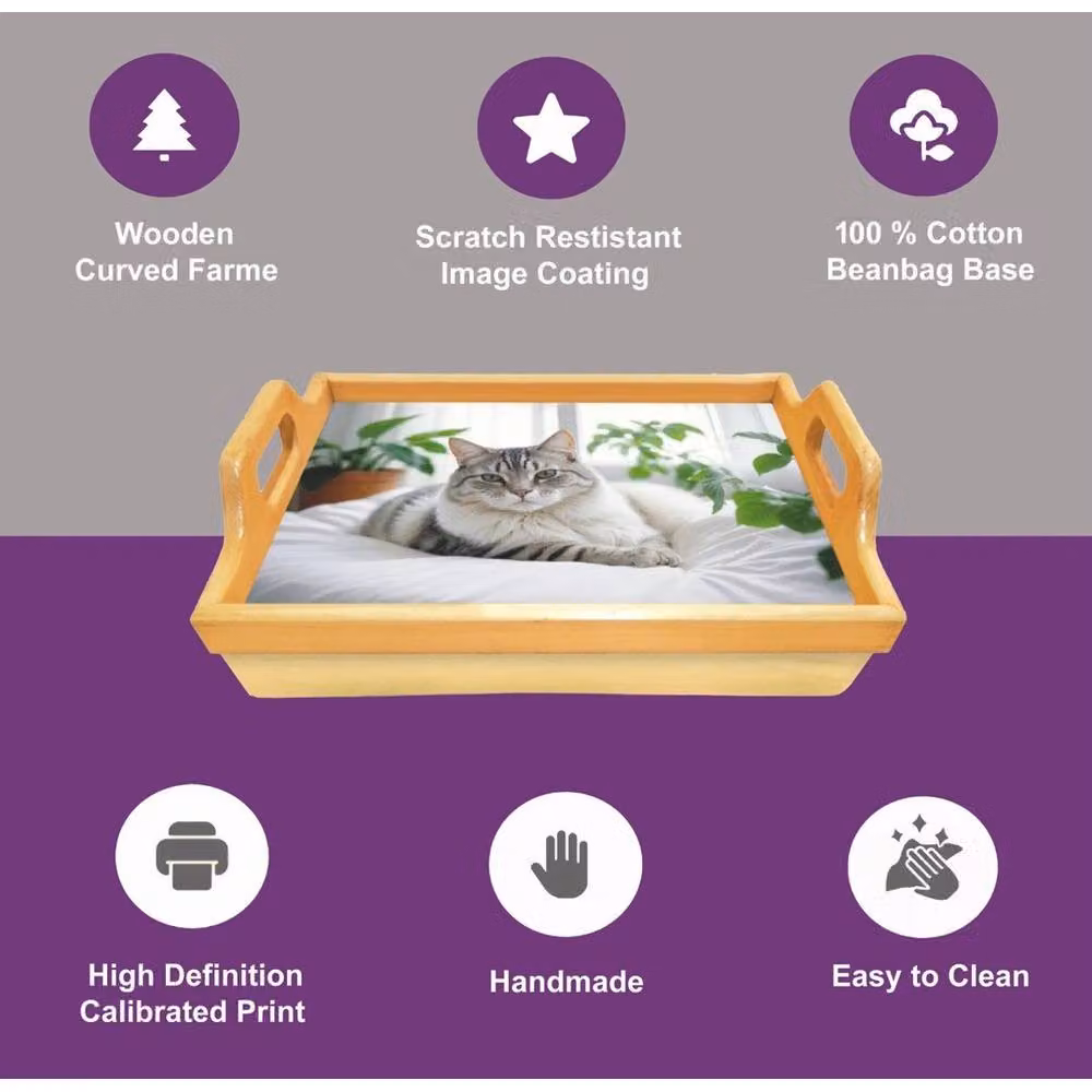 PAWNORA Cat Lap Tray with Bean Bag Padded Cushion in Beige, W/D: 100 x 100 cm – 3