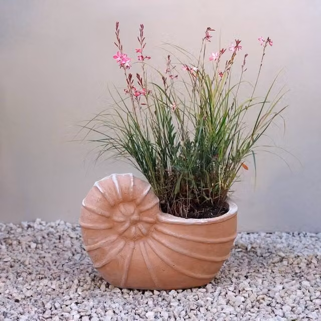 Primrose Siena Nautilus Ammonites Shell Fossil Themed Terracotta Planter, Brown, Height: 23 cm