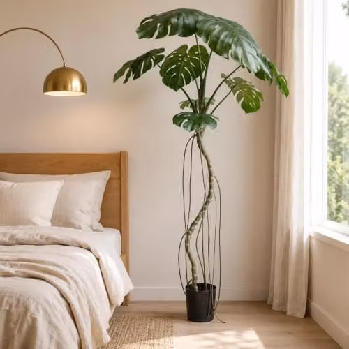 Botanik Green Artificial Monstera Plant Tree, H 180 x W 90 x D 90 cm