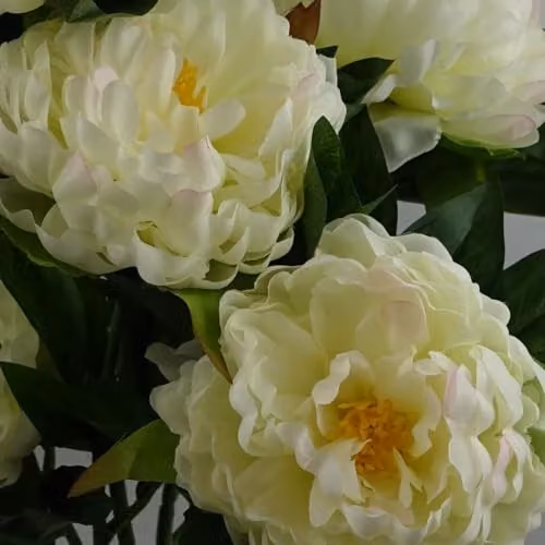 Leaf Design UK White Peony Artificial Potted Plant, Height: 55 cm – 5