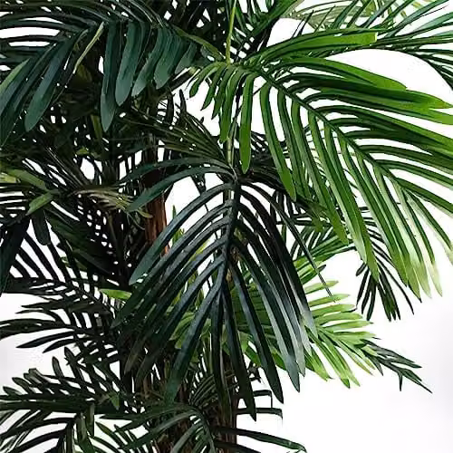 Leaf Design UK Large Artificial Green Palm Tree – 2