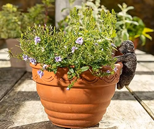 Jardinopia Antique Bronze Cockapoo Hanging Plant Pot Buddy Ornament – 5