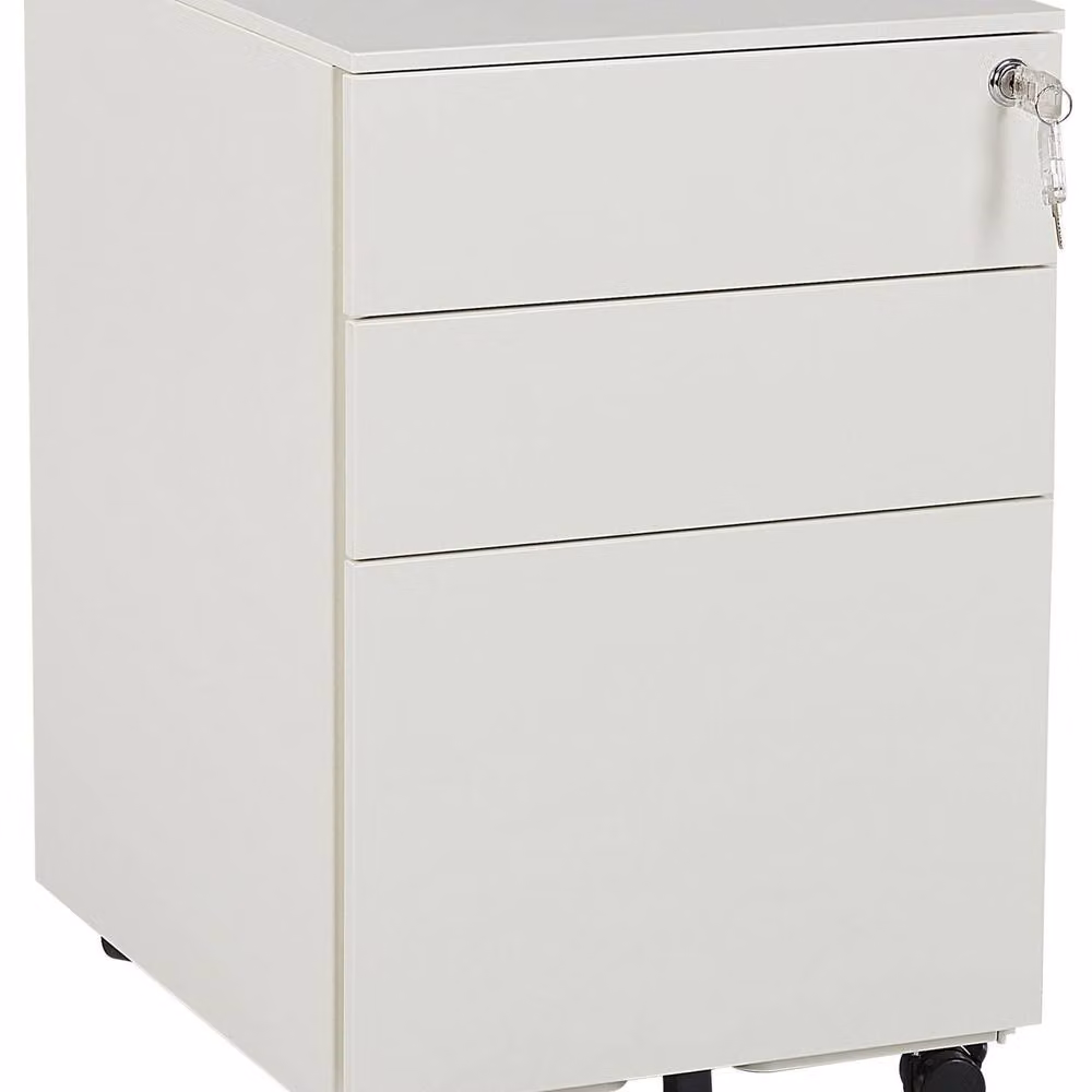 Wyld and Coco 3-Drawer Steel Storage Cabinet in White – 2