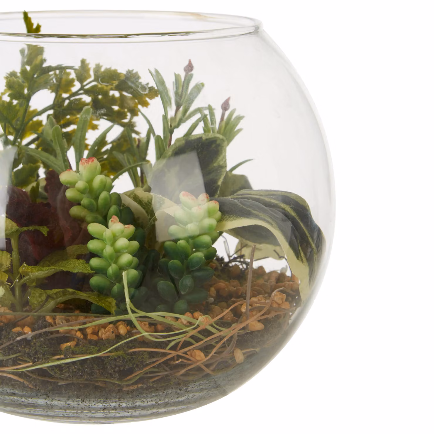 Fiori Large Round Glass Terrarium with Mixed Multicolour Succulents in Transparent Pot – 4